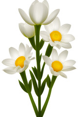 white narcissus isolated on white, generative ai