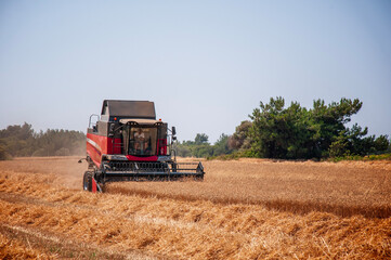 Combine harvester working on a field.
