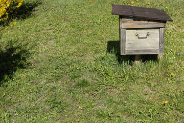 rectangular beehive on the grass on a sunny day