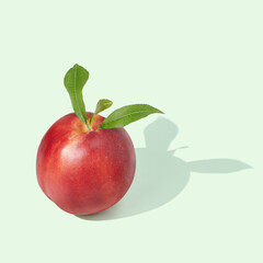 single nectarine on green pastel background