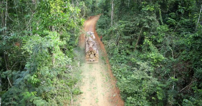 Logging Truck in the Amazon Rainforest