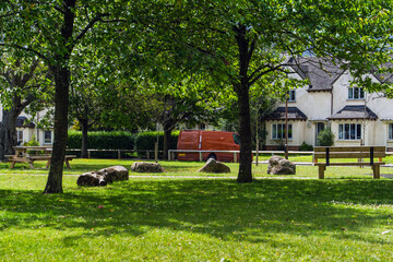 Fototapeta na wymiar Idyllic English country house, lush green lawn, dappled sunlight through trees, wooden bench, vintage red car, old house walls in the background.