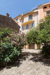Fototapeta na wymiar Mediterranean garden design and landscaping, Provence, France: Facades and alley with natural stone paving beautifully planted with lush blooming flowers and green plants in a small village 