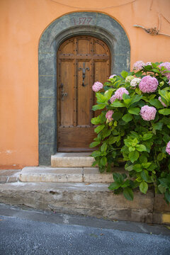 Mediterranean garden design and landscaping, Provence, France: Lush blooming hydrangea in front of an old wooden door with a round arch