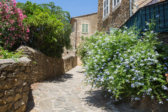 Mediterranean garden design and landscaping, Provence, France: Alley beautifully planted with lush blooming flowers and green plants along natural stone walls in a small village