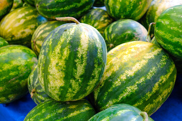 watermelons and melons