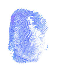 Fingerprint blue ink isolated on white, clipping path