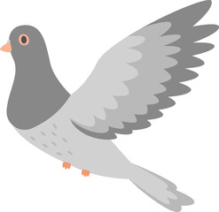 Pigeon Bird Flying
