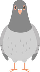 Pigeon Bird Standing