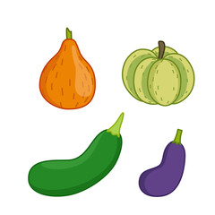 Set of vegetables. Pumpkin, eggplant, vegetable marrow, cucurbits crop. Cartoon vector