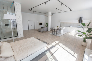 minimalistic modern luxury design of an expensive house with marble trim on a sunny day. white walls with plaster, parquet, decorative lighting and no one inside