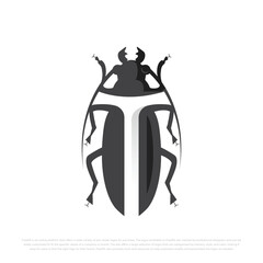 Beetle Bug Logo Design