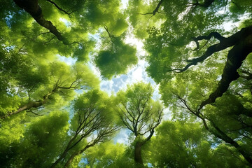 green tree tops and sky bottom view, generative ai