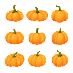 Set of orange pumpkins, vector illustration, isolated on white background, colorful cartoon pumpkins, autumn decorations