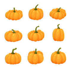 Set of orange pumpkins, vector illustration, isolated on white background, colorful cartoon pumpkins, autumn decorations