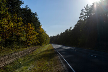 Paved road in the autumn season in sunny weather