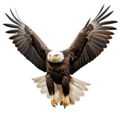Obraz premium a Bald Eagle (Haliaeetus leucocephalus) in flight, 3/4 view, American Icon of Freedom in a Nature-themed, photorealistic illustration in a PNG, cutout, and isolated. Generative AI