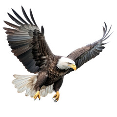 a  Bald Eagle (Haliaeetus leucocephalus) in flight, 3/4 view, American Icon of Freedom in a Nature-themed, photorealistic illustration in a PNG, cutout, and isolated. Generative AI