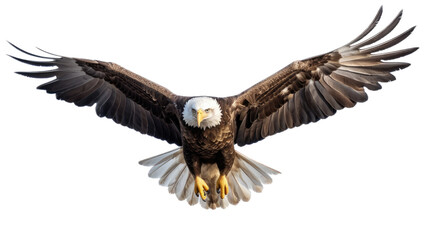 Obraz premium a Bald Eagle (Haliaeetus leucocephalus) in flight, full body frontal view in a Wildlife-themed, photorealistic illustration in a PNG format, cutout, and isolated. Generative AI