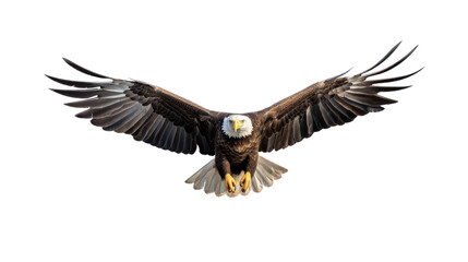 a Bald Eagle (Haliaeetus leucocephalus) in flight, full body frontal view in a  Wildlife-themed, photorealistic illustration in a PNG format, cutout, and isolated. Generative AI