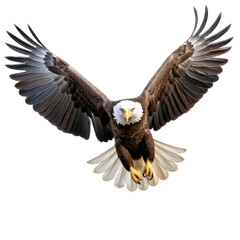 Obraz premium a Bald Eagle (Haliaeetus leucocephalus) in flight, full body frontal view in a Wildlife-themed, photorealistic illustration in a PNG format, cutout, and isolated: Generative AI