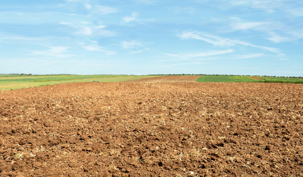 Freshly plowed farmland. The farmland is all moved and furrowed. It is ready to be sown with seeds. It is a sunny day with few clouds blue sky.