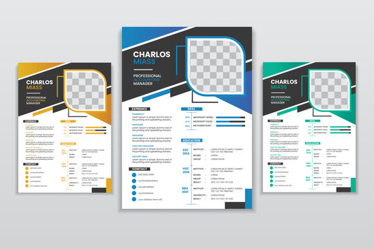 Professional Resume and Cover Letter Layout template