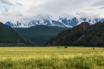 Snowy peas of Altai mountains and yellow and green grass, Altai Republic, Siberia, Russia