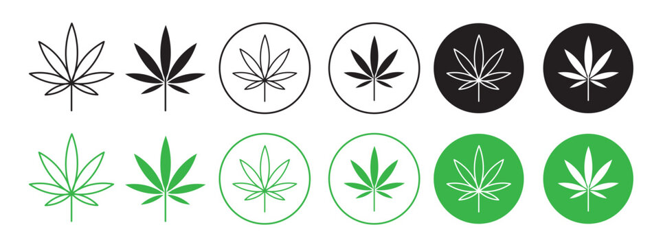 cannabis leaf icon set. hemp marijuana leaf vector symbol in black and green color. CBD weed leaf sign.