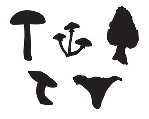 A set of five mushrooms silhouettes in black on white background for webs, icons, apps