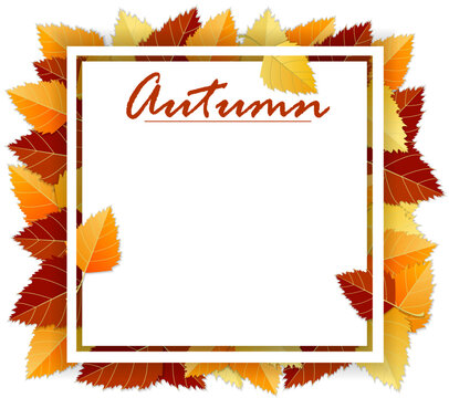 Autumn background with autumn bright leaves and square frame, paper white sheet on white background. Vector illustration. Template, layout, mockup for posters, brochures, invitations, certificates