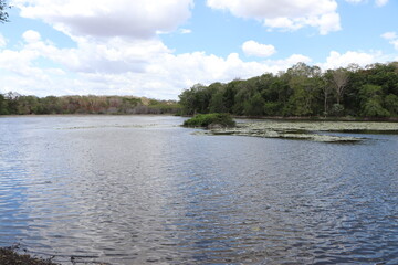 Laguna en tranquilidad durante un día soleado