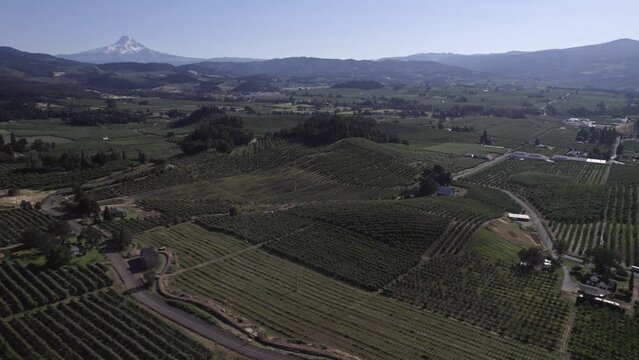 Farmlands Near a Mountain