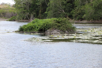 Laguna en tranquilidad durante un día soleado
