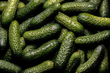 Fresh cucumbers top view wallpaper