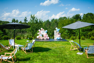 Gender reveal party. Babyshower. Decorations