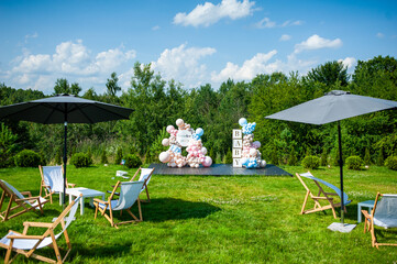 Gender reveal party. Babyshower. Decorations