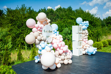 Gender reveal party. Babyshower. Decorations