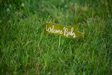 Gender party decorations background. Babyshower celebrations. Happy day for parents