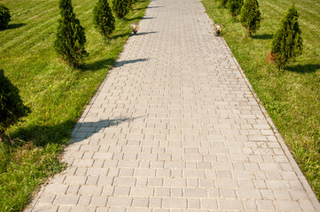Fototapeta premium walkway in the park