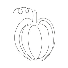 Line art of pumpkin vector illustration