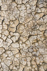 The texture of the cracked and dried up soil on the surface of the salt marsh in the desert in the Kazakh steppe, the texture of the dried bottom of the lake