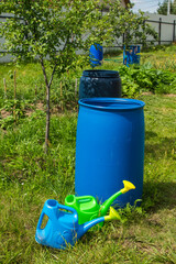 Fototapeta na wymiar A blue plastic barrel and watering cans on the grass near apple trees with green foliage on a sunny summer day. Concept gardening and plant care