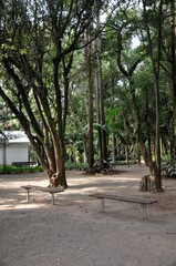 Park Prefeito Celso Daniel Park- Santo André 
