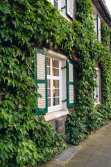 Fototapeta na wymiar White shutters. Closed windows. A plant on the wall. Closed wooden shutters of an ivy-covered house. Retro style in the design of the facade of the house. European house. The face of Europe.