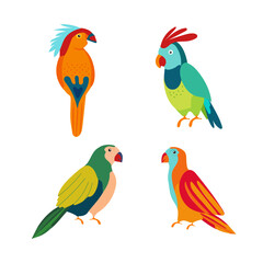 Multicolored cartoon character parrots. Exotic bird set