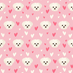 White Italian lapdog seamless pattern. Breed Bolognese on pink background