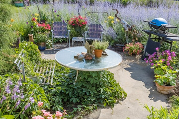 A patio surrounded by Russian sage with pots of colorful flowers.