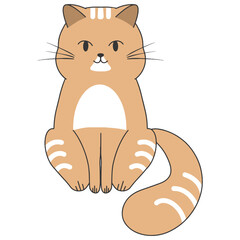cat 2d drawing  on white background