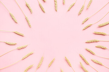 Frame made from wheat ears on pink background